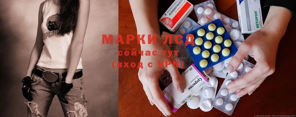 прущие грибы Алзамай