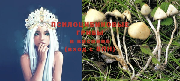 прущие грибы Алексеевка