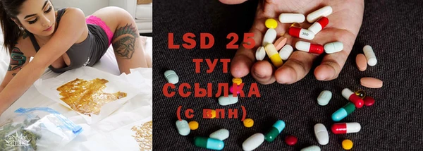 прущие грибы Алексеевка