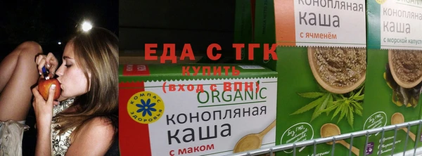 прущие грибы Алзамай