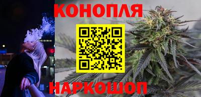 мдпв Пенза