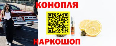 мдпв Пенза