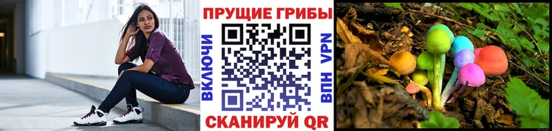 Псилоцибиновые грибы ЛСД Чебоксары