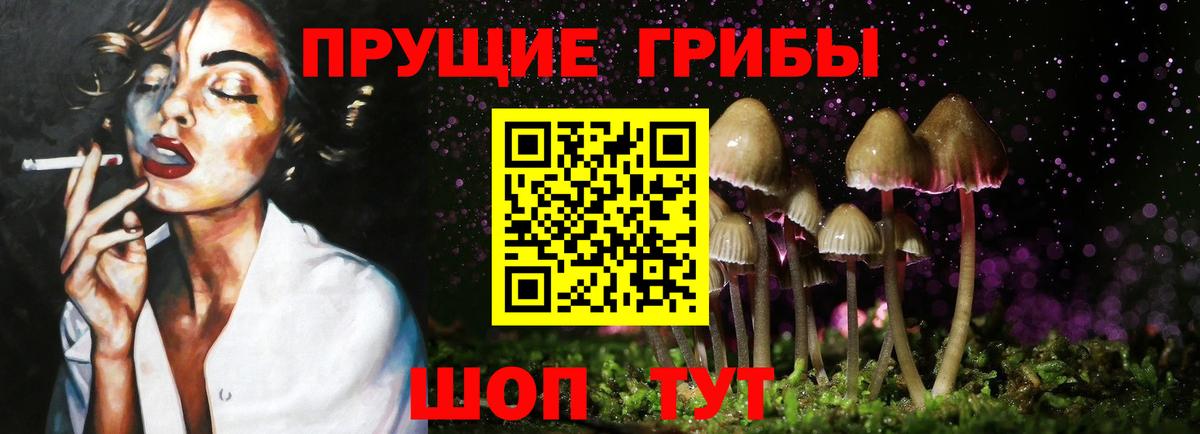 Псилоцибиновые грибы MAGIC MUSHROOMS Чебоксары